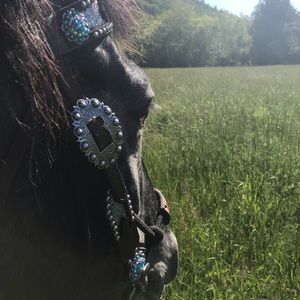 Meet your Posher, Liz